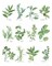 Herb Chart Poster Print by Chris Paschke - Item # VARPDX28342